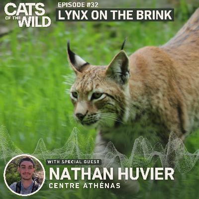 Lynx on the Brink: Nathan Huvier, Centre Athénas