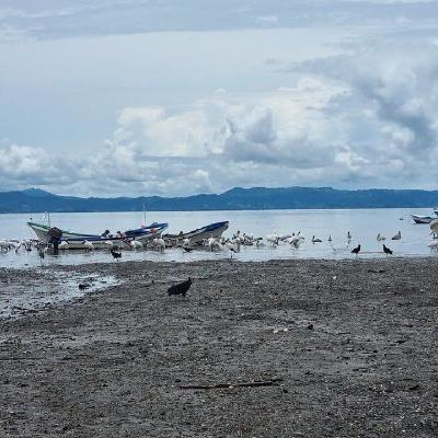 Loss and Damage: Who Pays for Climate Change in Central America?