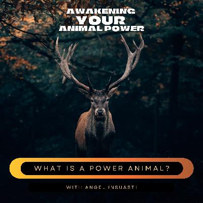 What is a Power Animal?