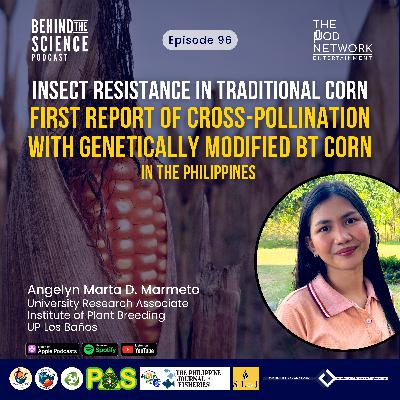 Ep96 - Insect resistance in traditional corn: First report of cross-pollination with BT corn in the Philippines Ep96 - Insect resistance in traditional corn: First report of cross-pollination with BT corn in the Philippines