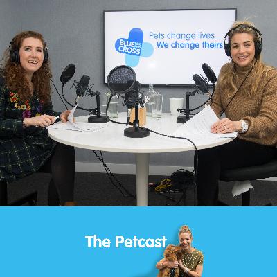 Keeping Pets Healthy Keeping Pets Healthy