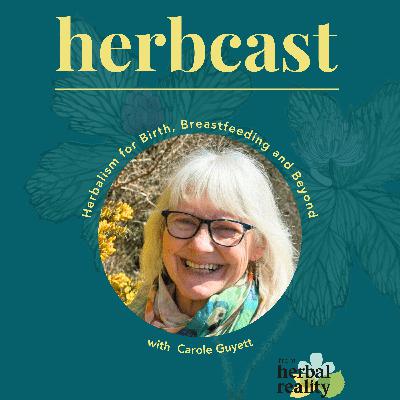 Herbalism for Birth, Breastfeeding, and Beyond with Carole Guyett