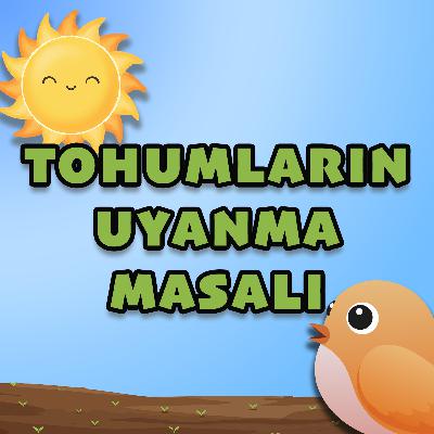 MİNİK KUŞ'UN GÜNLÜĞÜ: TOHUMLARIN UYANMA MASALI - UYKU ÖNCESİ MASAL VE NİNNİ