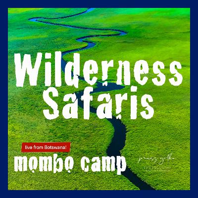 Wilderness Safaris Mombo Camp Live Interview! Wilderness Safaris Mombo Camp Live Interview!
