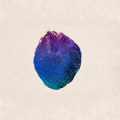 blioux - Valves & Tubes - 2013-07-31