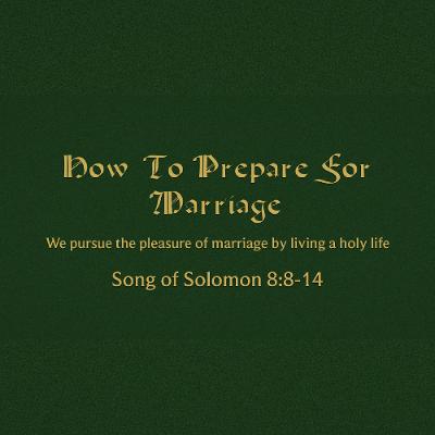 How to Prepare for Marriage (Song of Solomon 8:8-14)