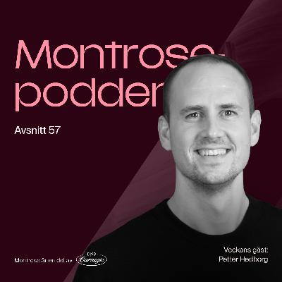 #57 - Nästan allt du behöver veta om insynshandel med Modular Finance vd Petter Hedborg