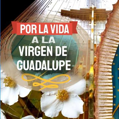 Por la vida a nuestra Madre de Guadalupe, novena día 6 Por la vida a nuestra Madre de Guadalupe, novena día 6