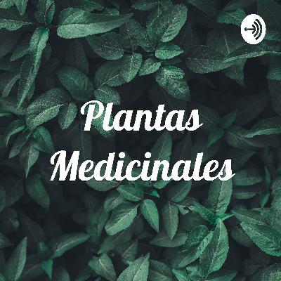 Plantas medicinales