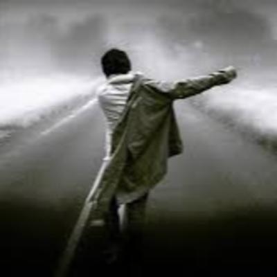 POST 22: El verdadero PORQUE y nuestras pasiones