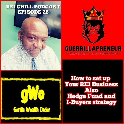 REI CHILL PODCAST EPISODE 28 Setting up your REI Business and Hedge Fund and I-buyers Strategy!