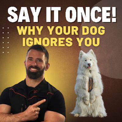 Ep. 28 - ​Say It Once – Why Your Dog Ignores You & How to Fix It