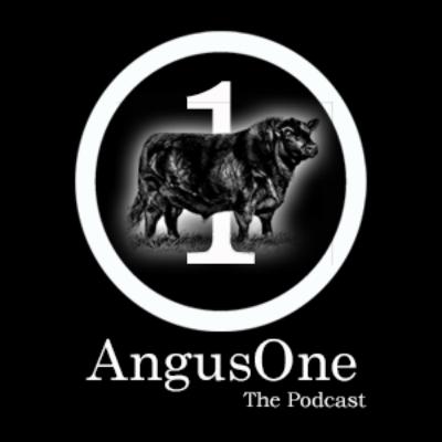 S2 Episode 1 - Randy Sipe - Sipe Angus S2 Episode 1 - Randy Sipe - Sipe Angus