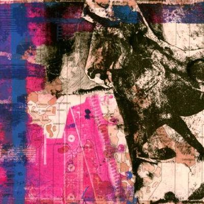 PROG SYNDICATE Nº 14 PROG SYNDICATE Nº 14