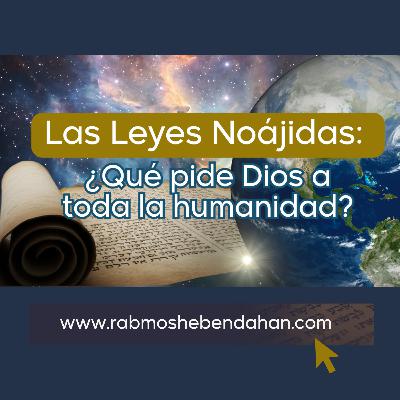 Las leyes Noajidas Las leyes Noajidas