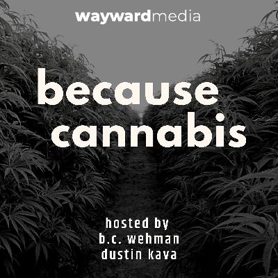 Innovations in Cannabis: Spearheading A New Era of Clean Cultivation with Matt Iarussi Innovations in Cannabis: Spearheading A New Era of Clean Cultivation with Matt Iarussi