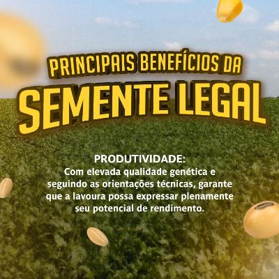 MOMENTO APASEM #111: Semente Legal Garante Potencial de Rendimento à Lavoura