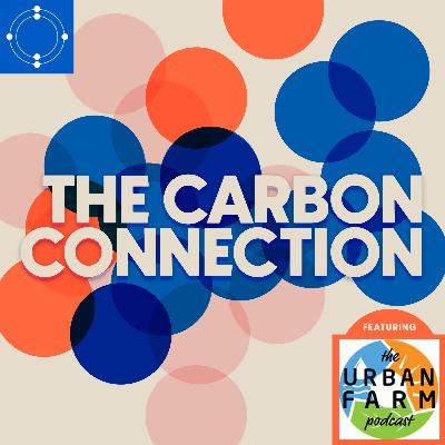 Urban Farm Podcast - Christine Lance on Planning, Building and Maintaining a Community Garden