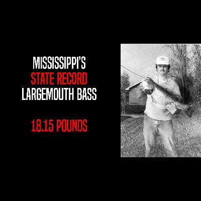 The Mississippi State Record: 18+ POUNDS of Florida Bass!