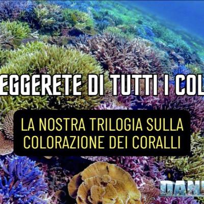 I colori più difficili dei coralli in acquario marino: nasce il DaniReef Podcast. Episodio 1 I colori più difficili dei coralli in acquario marino: nasce il DaniReef Podcast. Episodio 1