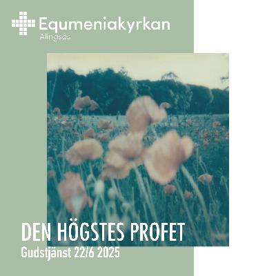 250622 - Den högstes profet - Noomie Hammar