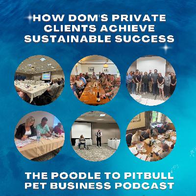 Episode 414 - Why Marketing Momentum Beats Pet Biz Perfection: How Do Dom's Clients Achieve Sustainable Success