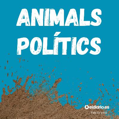 Ep. 9 Especial DANA - 229 morts, 0 responsables