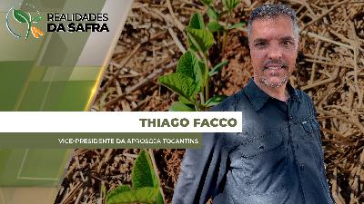 Plantio da soja deve começar em meados de outubro em Tocantins com pequeno aumento de área