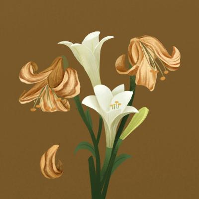 Episode 25: Tess of the D'Urbervilles Full Book Review