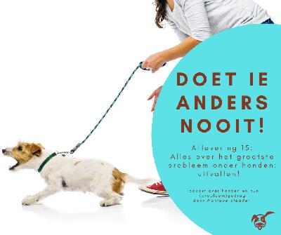 Ep.15: Alles over het grootste probleem onder honden: uitvallen!