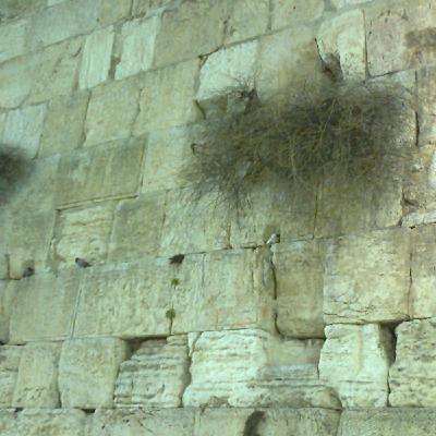 Episode 260: לשמור על הטוב Episode 260: לשמור על הטוב