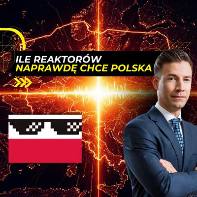 Ile reaktorów NAPRAWDĘ chce Polska? PODNIŻKA cen energii. Energy Week