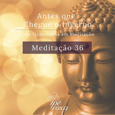 Meditação 36 - 9 dias de isolamento