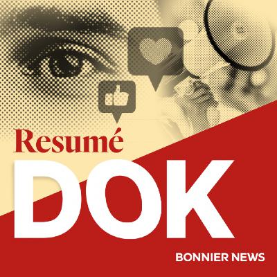 Resumé Dok: Byråmannen och miljonstölderna