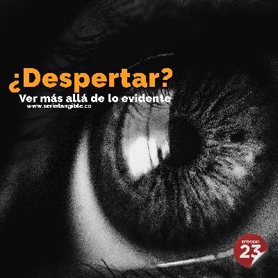 ¿Despertar de la consciencia? - Ver más allá de lo evidente
