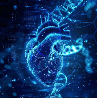 Wormhole Bridge: DNA Between Hearts