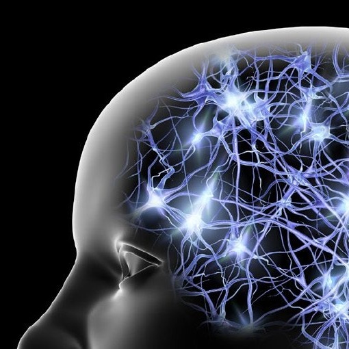 Limitless: Biohacking Brainpower, Health, Personal Growth & Beyond