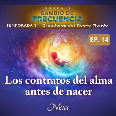 Nada en tu vida es casualidad, todo fue elegido por tu alma - Vanessa Serrano