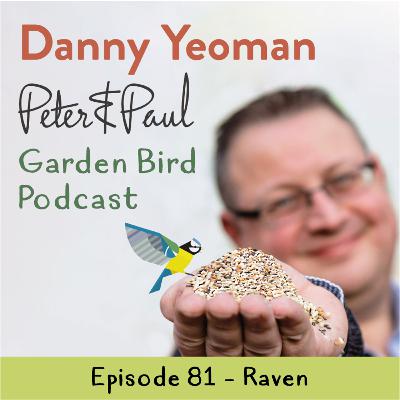 Peter & Paul British Garden Bird Podcast - Raven