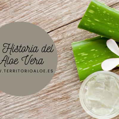 ๐๐ ๐๐ข๐ฌ๐ญ๐จ๐ซ๐ข๐ ๐๐๐ฅ ๐๐๐๐ ๐๐๐๐ ๐ต๐ต๐ต ๐๐ ๐๐ข๐ฌ๐ญ๐จ๐ซ๐ข๐ ๐๐๐ฅ ๐๐๐๐ ๐๐๐๐ ๐ต๐ต๐ต