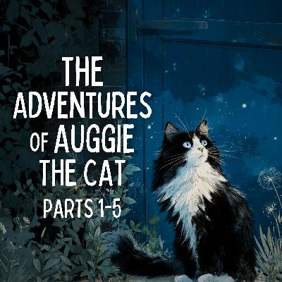 Bonus Compilation: The Adventures Of Auggie The Cat
