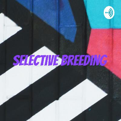 selective breeding: genetic engineering