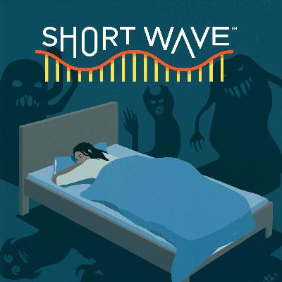 What's Up With Nightmares?