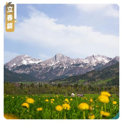【立春篇】草木初醒，万物柔软