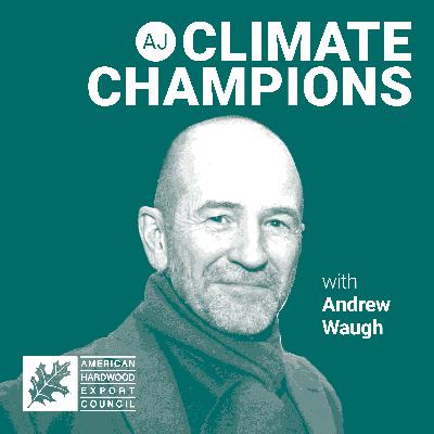 ‘I’m no longer the wood weirdo,’ says Andrew Waugh