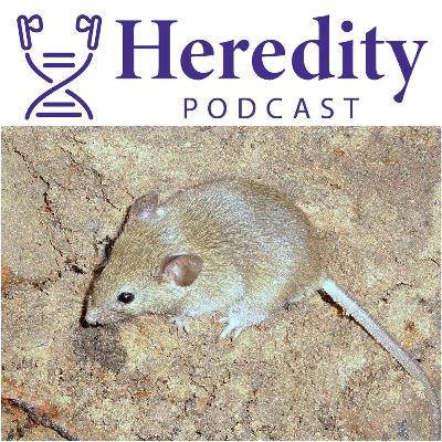 From dish to big data, neuronal regeneration in mice