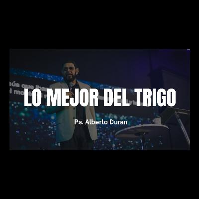Lo mejor del trigo - Ps. Alberto Duran
