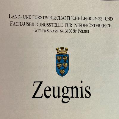 Anna fragt nach!