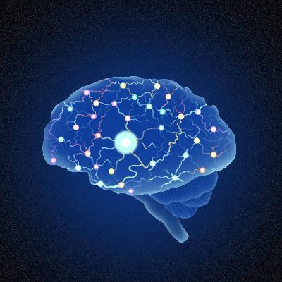 Decoding the Enigma: A Summary of Consciousness and the Brain