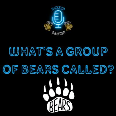 What's a group of Bears called?